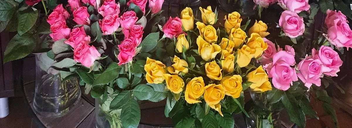 Rozā, dzeltenas un gaišas rozes stikla vāzēs ziedu salonā